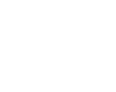 Newton Energy Solutions